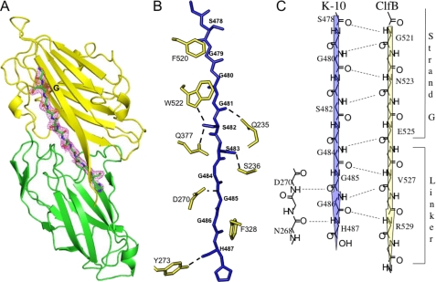 FIGURE 2.