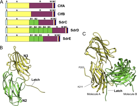 FIGURE 1.