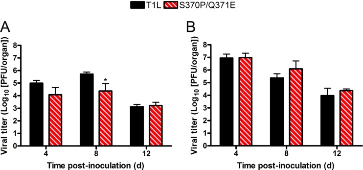 FIG 3 