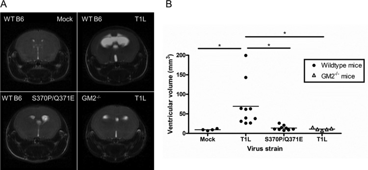 FIG 6 