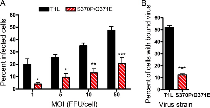 FIG 2 