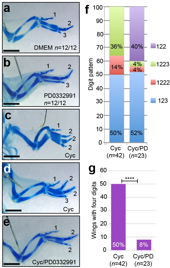 Figure 5.