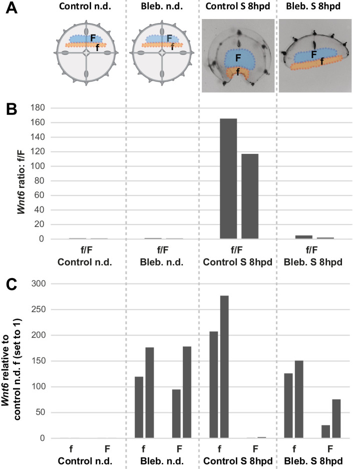 Figure 11—figure supplement 1.