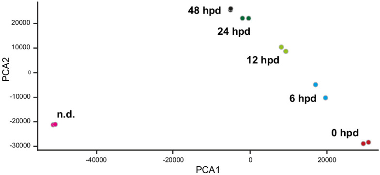 Figure 10—figure supplement 1.