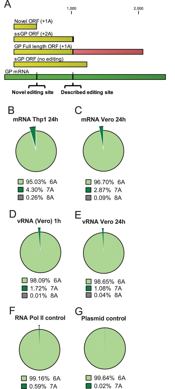 FIG 3 