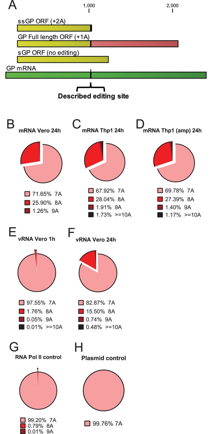 FIG 2 