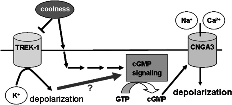 Fig. 8