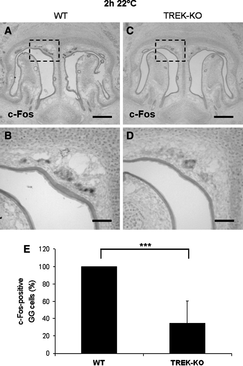 Fig. 6