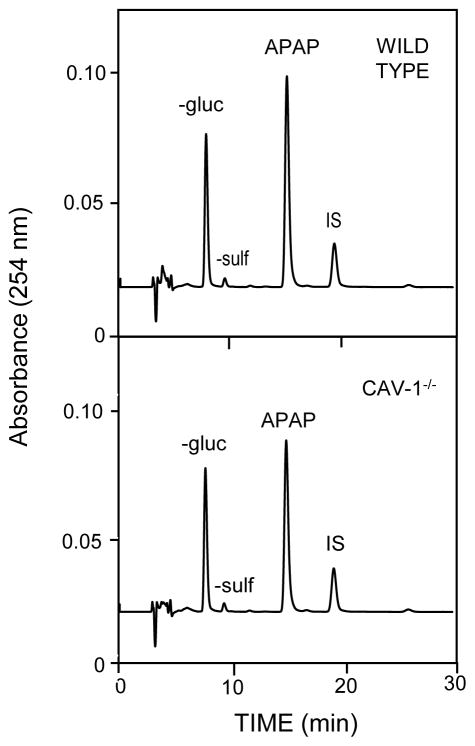 Fig. 5