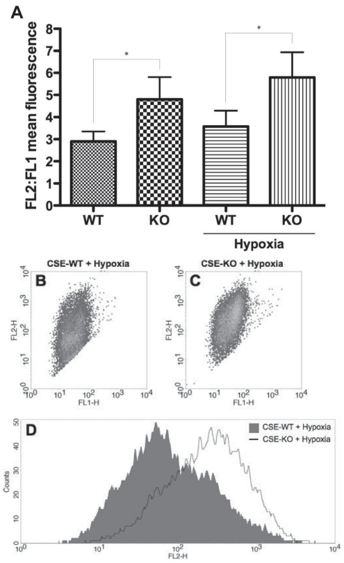 Figure 5)