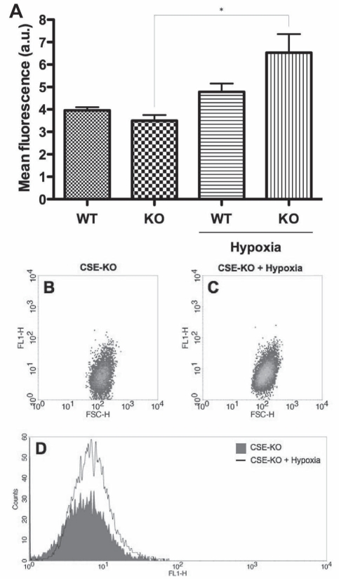 Figure 2)