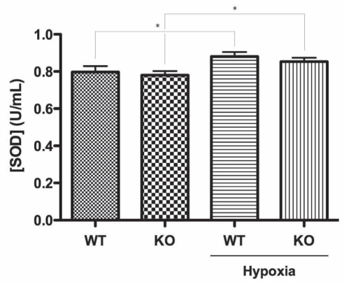 Figure 4)