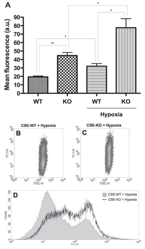 Figure 3)