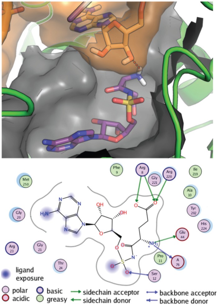 Fig 4