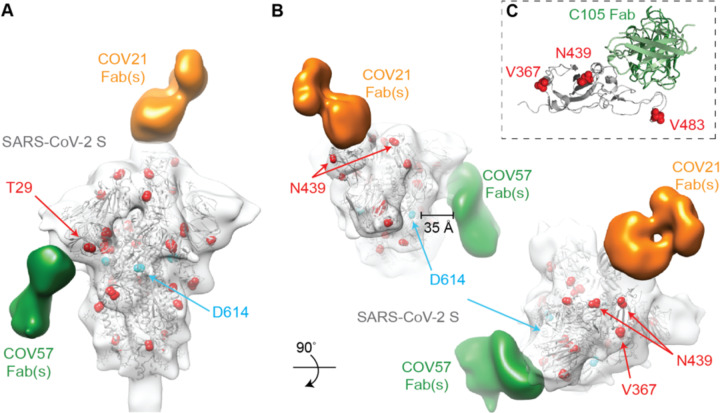 Figure 6.