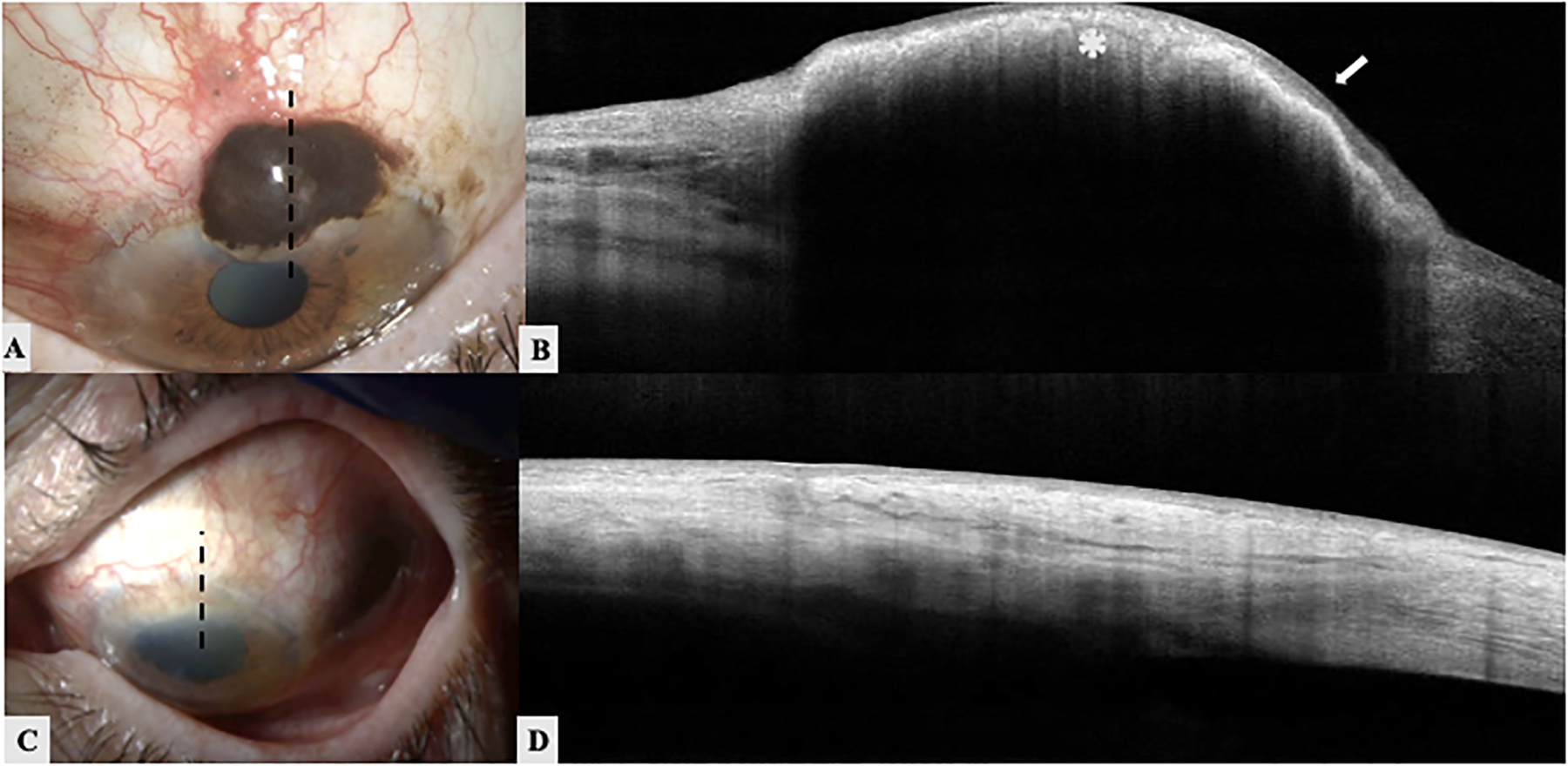 Figure 6: