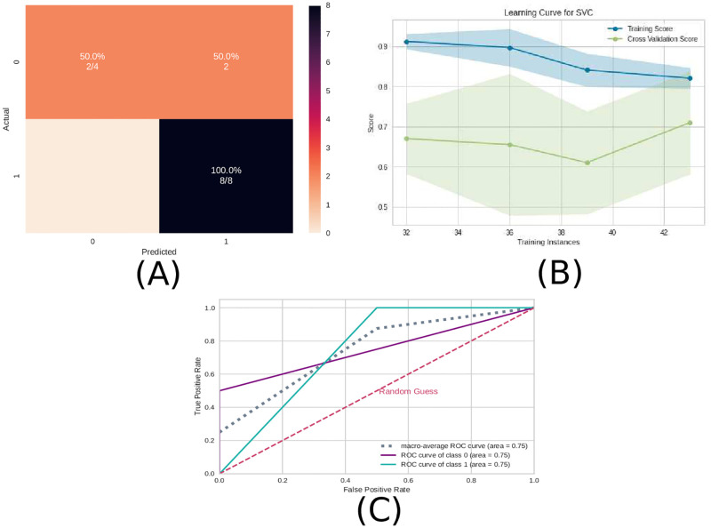 Fig 10