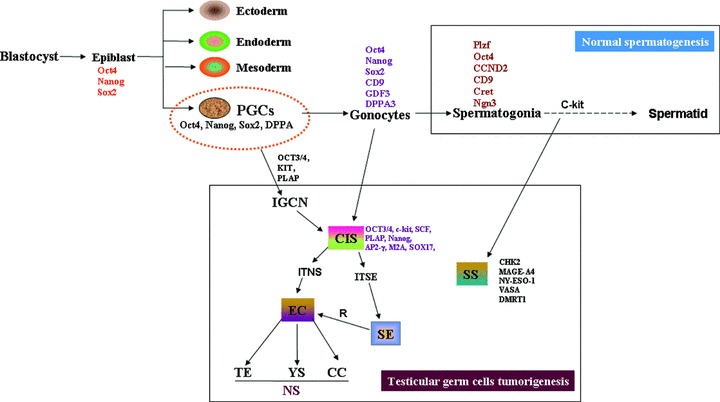 Fig 4