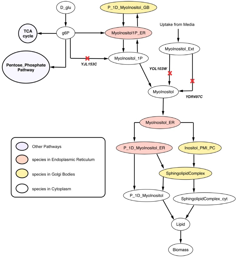 Figure 10