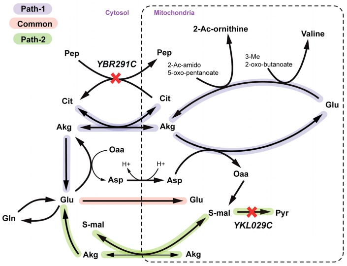 Figure 9