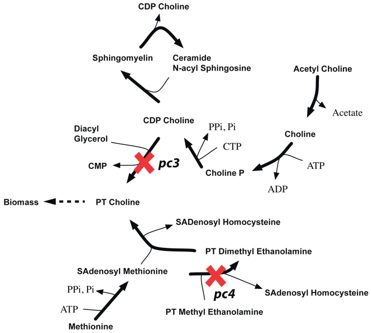 Figure 14