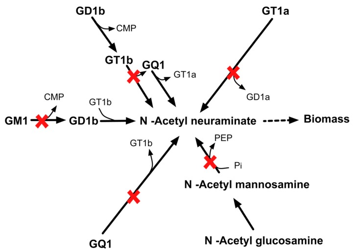 Figure 16