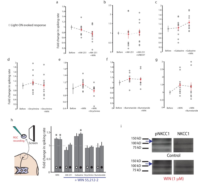 Figure 4—figure supplement 1.