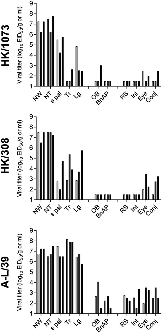 FIG 6