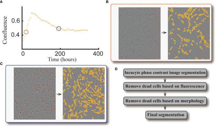 Figure 3