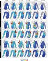 FIGURE 7.
