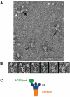 FIG. 4.