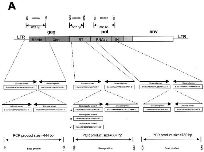 FIG. 1.