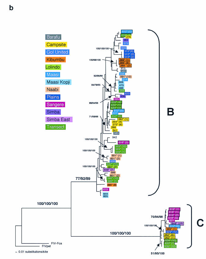 FIG.3.