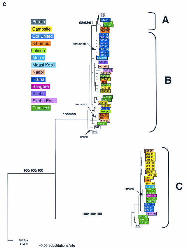 FIG.3.