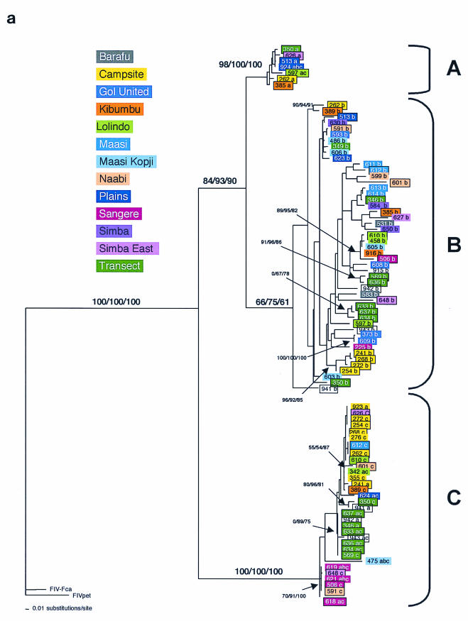 FIG.3.