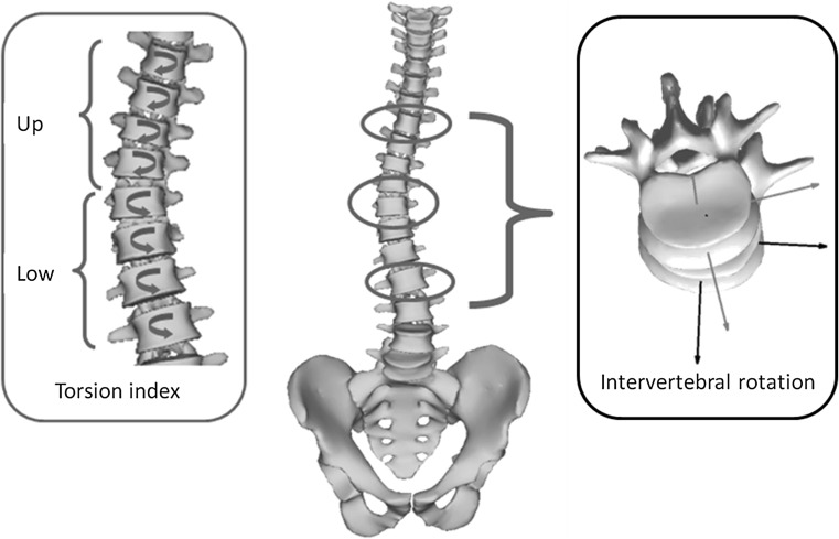 Fig. 1