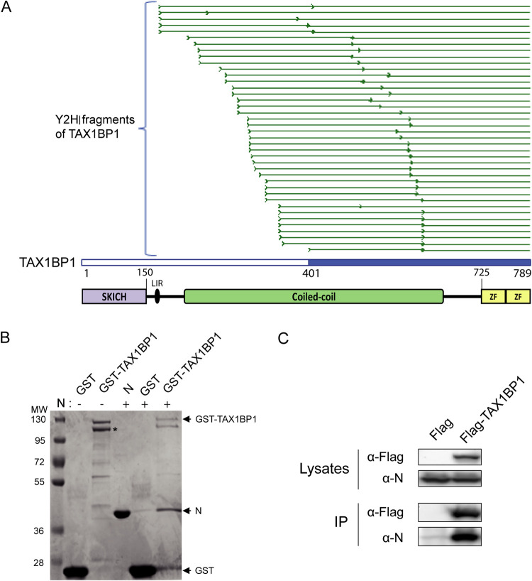 FIG 1