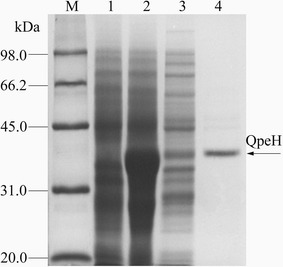 Fig. 3