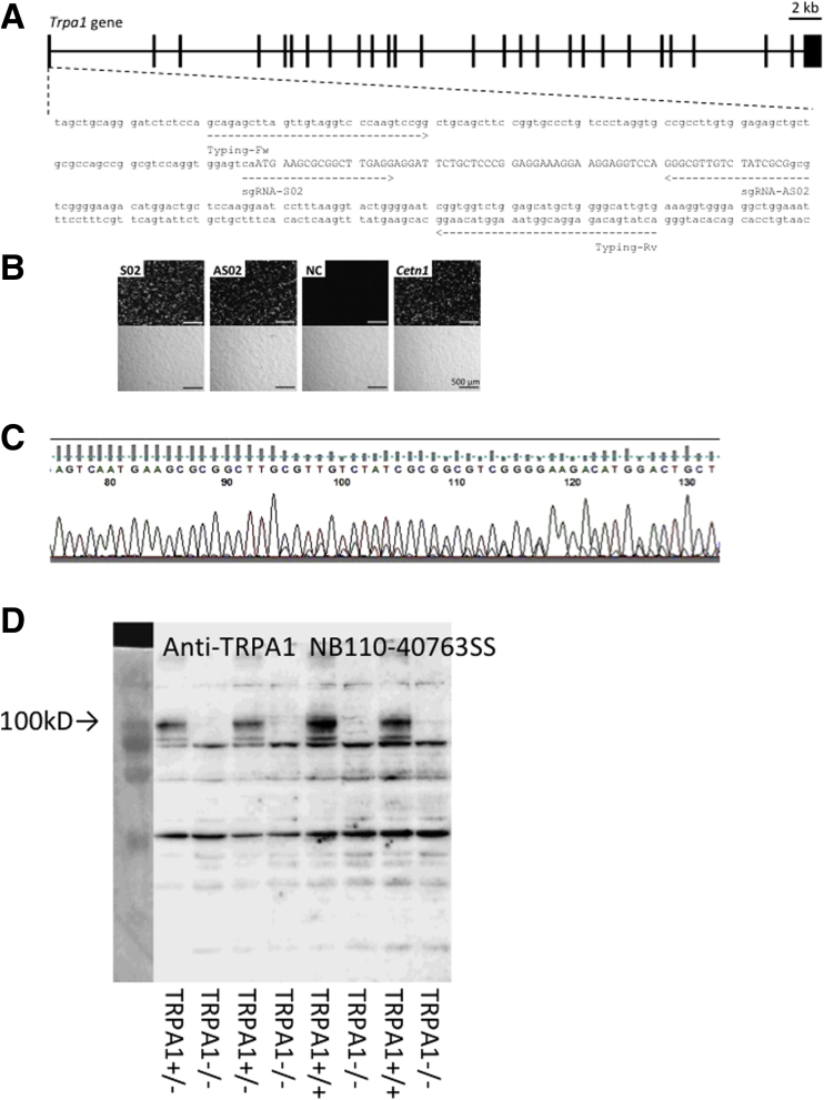 Figure 4