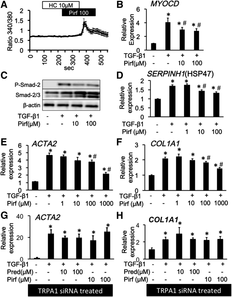 Figure 12