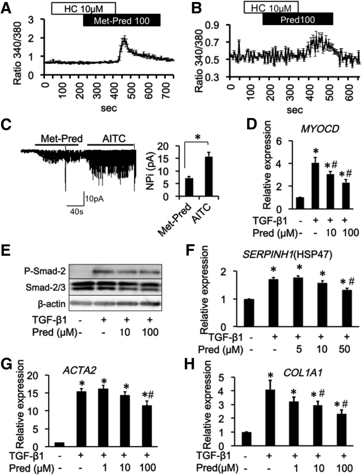 Figure 11