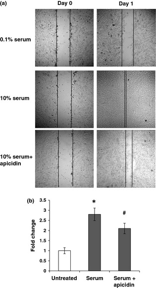 Figure 5