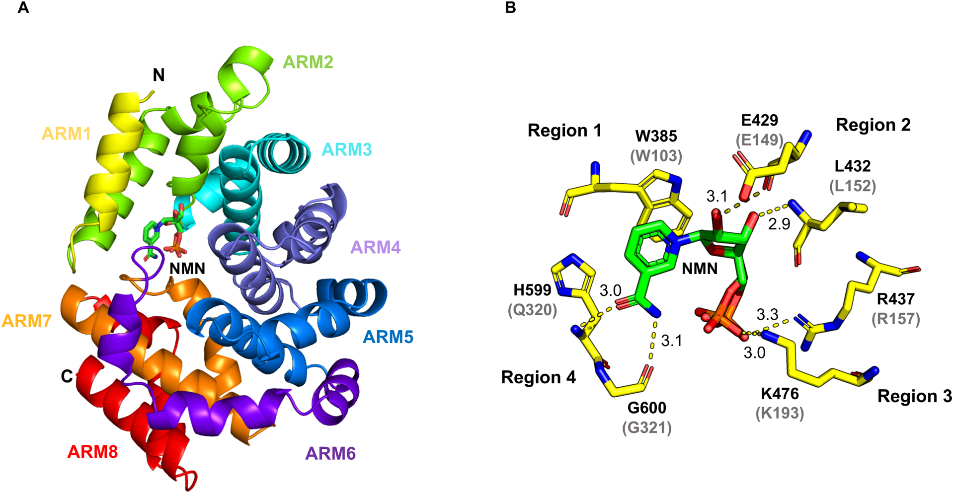 Figure 4.