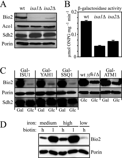 FIG. 5.