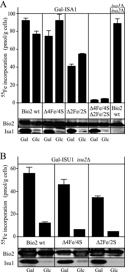 FIG. 4.