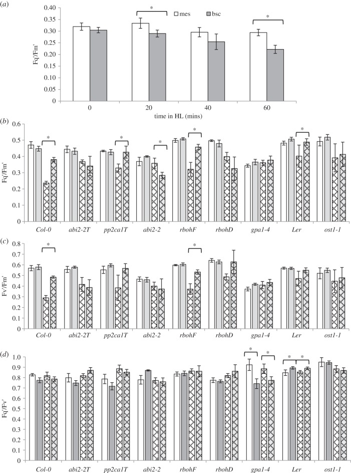 Figure 2.