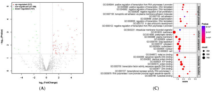 Figure 12