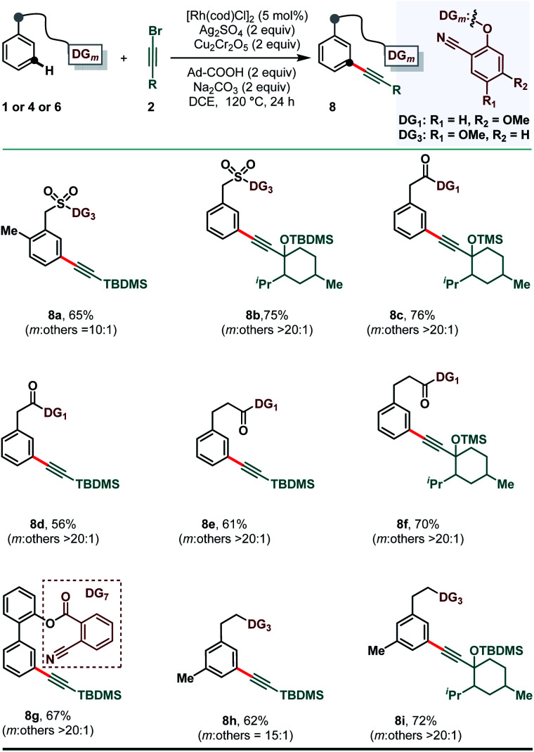 Scheme 5