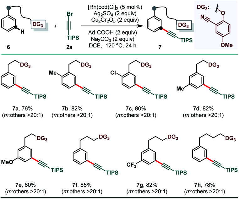 Scheme 4