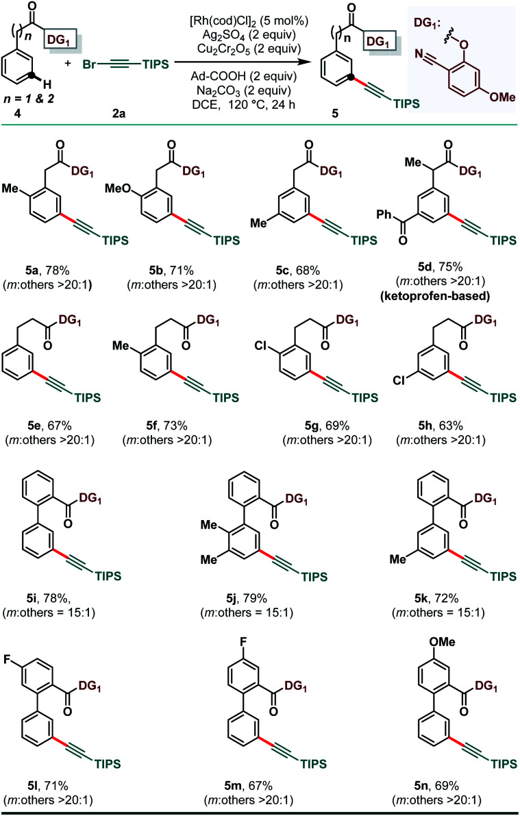 Scheme 3